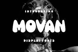 Font Movan